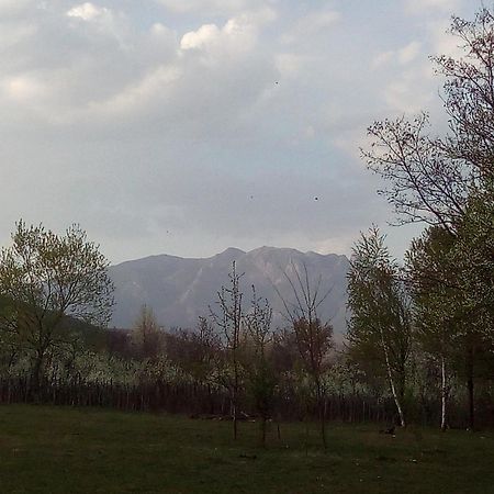 Pensiunea Adeluta Călimăneşti Buitenkant foto