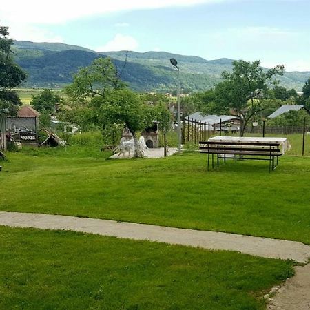 Pensiunea Adeluta Călimăneşti Buitenkant foto