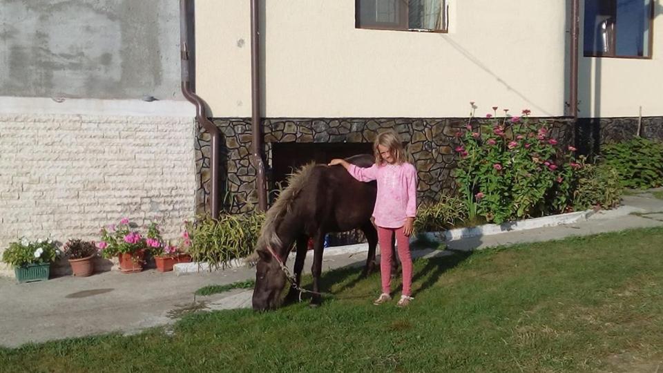 Pensiunea Adeluta Călimăneşti Buitenkant foto