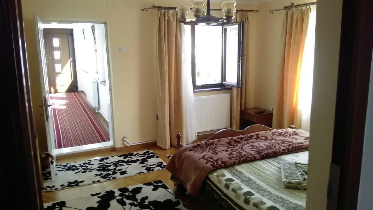 Pensiunea Adeluta Călimăneşti Buitenkant foto