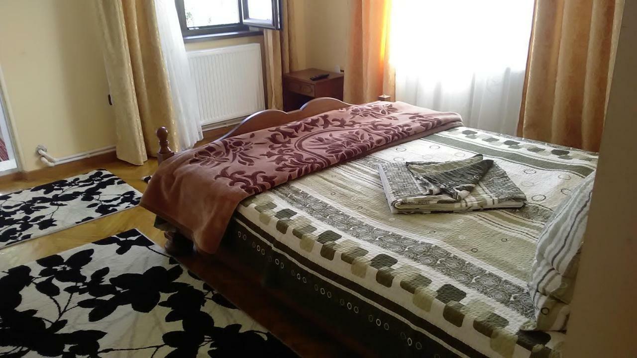 Pensiunea Adeluta Călimăneşti Buitenkant foto