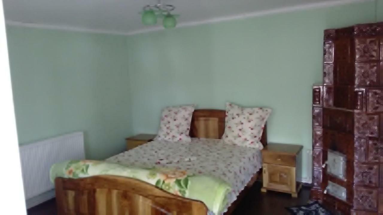 Pensiunea Adeluta Călimăneşti Buitenkant foto
