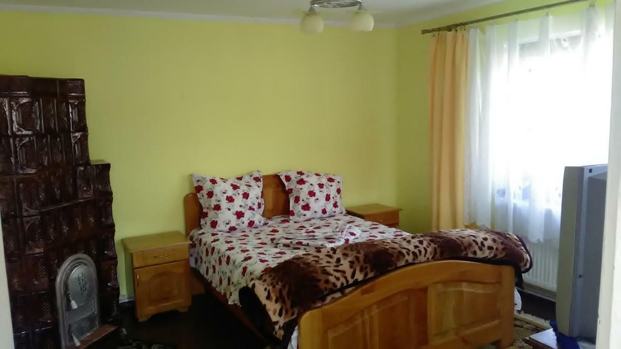 Pensiunea Adeluta Călimăneşti Buitenkant foto