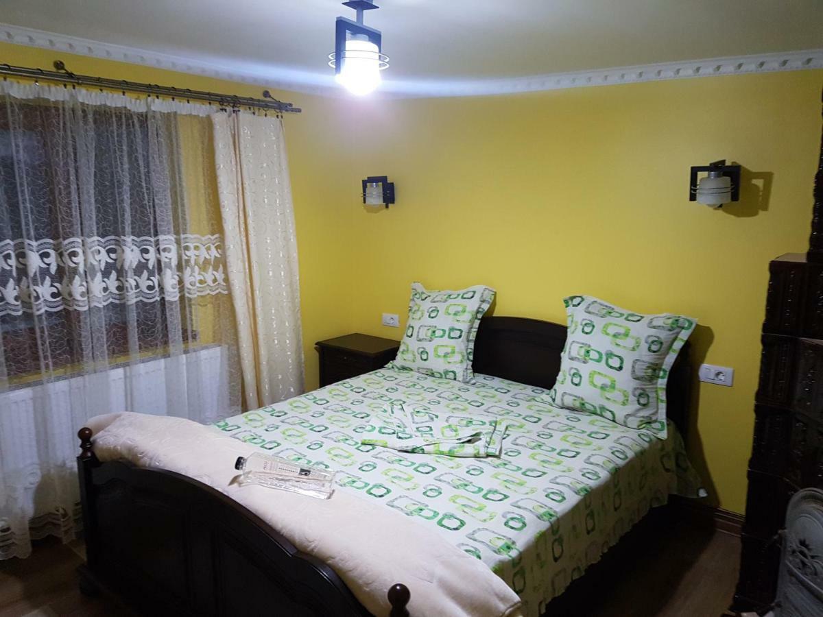 Pensiunea Adeluta Călimăneşti Buitenkant foto