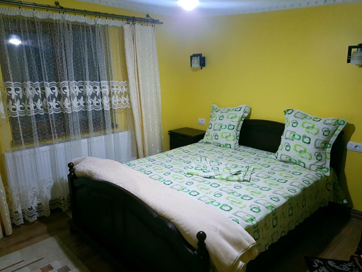 Pensiunea Adeluta Călimăneşti Buitenkant foto